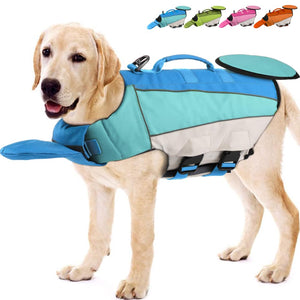 Dog Stuff