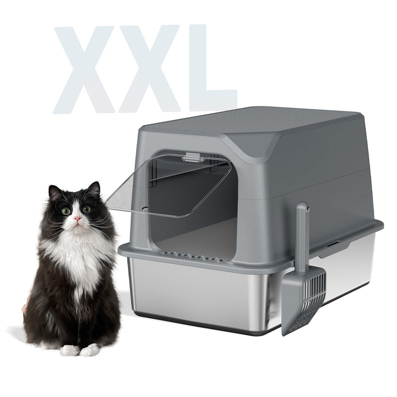 Cat Stuff