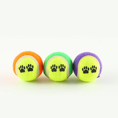 Outdoor Pet Throwing Cue Dog Training Toy - Fun Stuff Gift Shop
