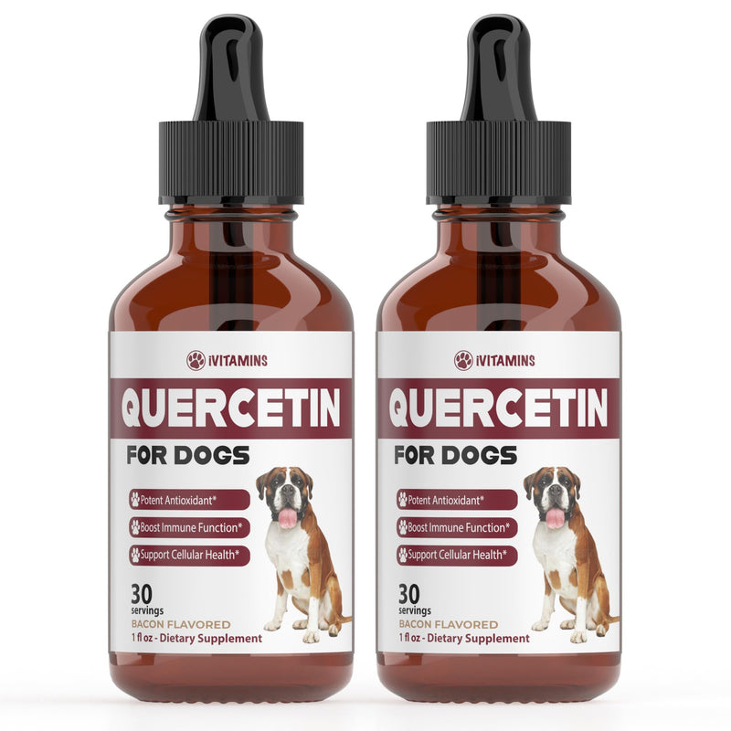 Quercetin for Dogs | Natural Allergy Relief & Immune Support | Bacon Flavor | 2 Pack - Fun Stuff Gift Shop
