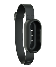 Wireless Pet Collar Camera | See the World Through Your Cat's Eyes