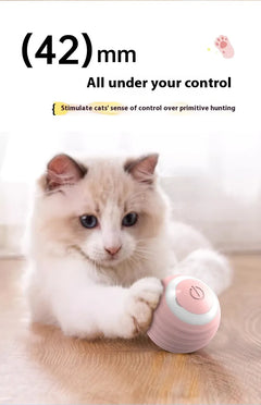 Interactive Cat Toy Ball | Auto-Bouncing USB Rechargeable Pet Toy