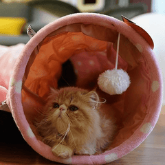 Cat Tunnel, Cat Bed, Cat Mat, Cat Sleeping Bag - Fun Stuff Gift Shop