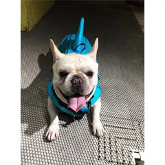 Dog Life Jacket | Adjustable Safety Swim Vest | XS-XXL | Blue or Orange - Fun Stuff Gift Shop