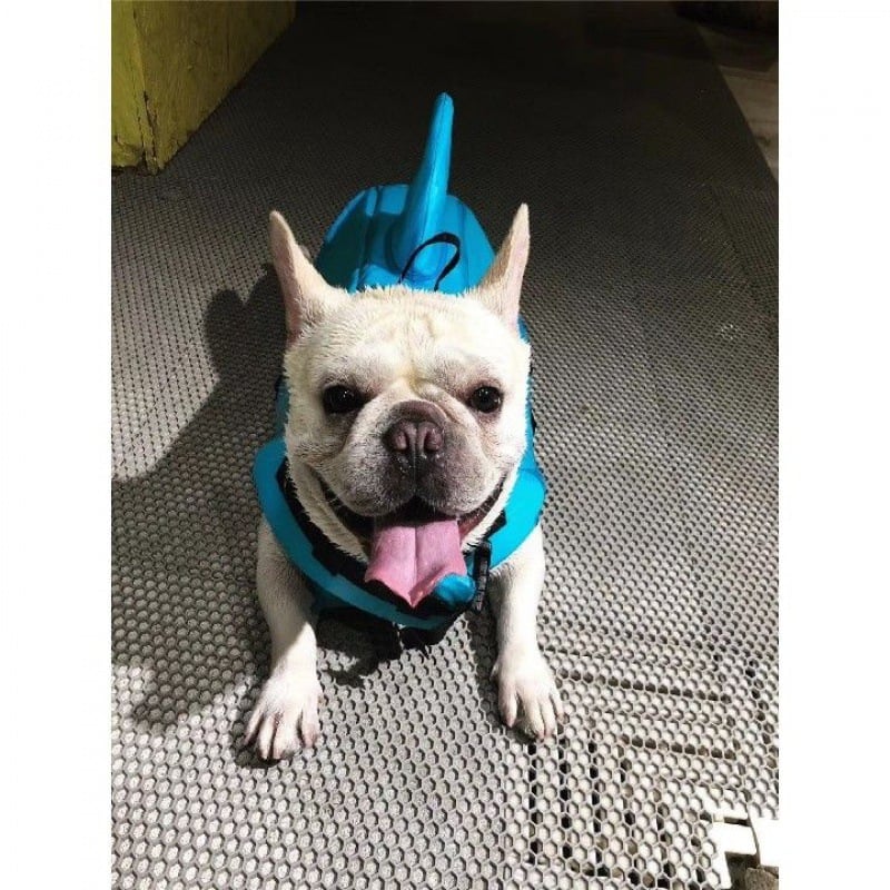 Dog Life Jacket | Adjustable Safety Swim Vest | XS-XXL | Blue or Orange - Fun Stuff Gift Shop