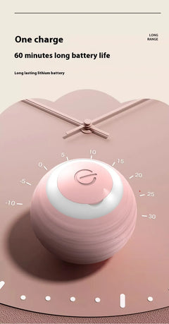 Interactive Cat Toy Ball | Auto-Bouncing USB Rechargeable Pet Toy
