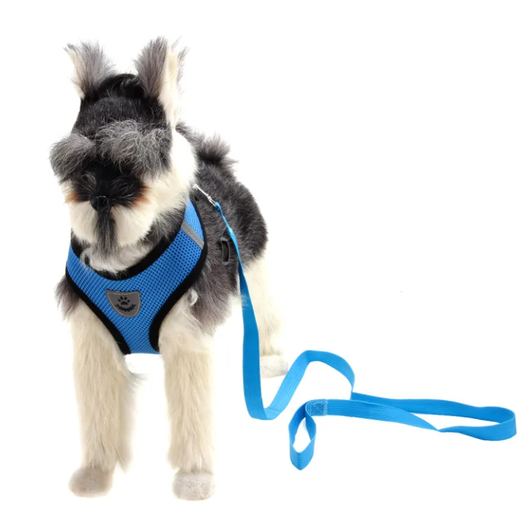 Premium Mesh Dog Harness — Breathable, Adjustable & No-Pull | S–XL
