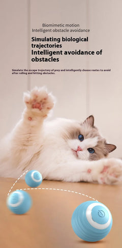 Interactive Cat Toy Ball | Auto-Bouncing USB Rechargeable Pet Toy