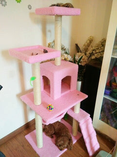 Cat Tree with Scratching Post & Climbing Frame | Multi-Color Cat Tower - Fun Stuff Gift Shop
