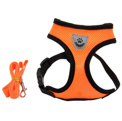 Premium Mesh Dog Harness — Breathable, Adjustable & No-Pull | S–XL