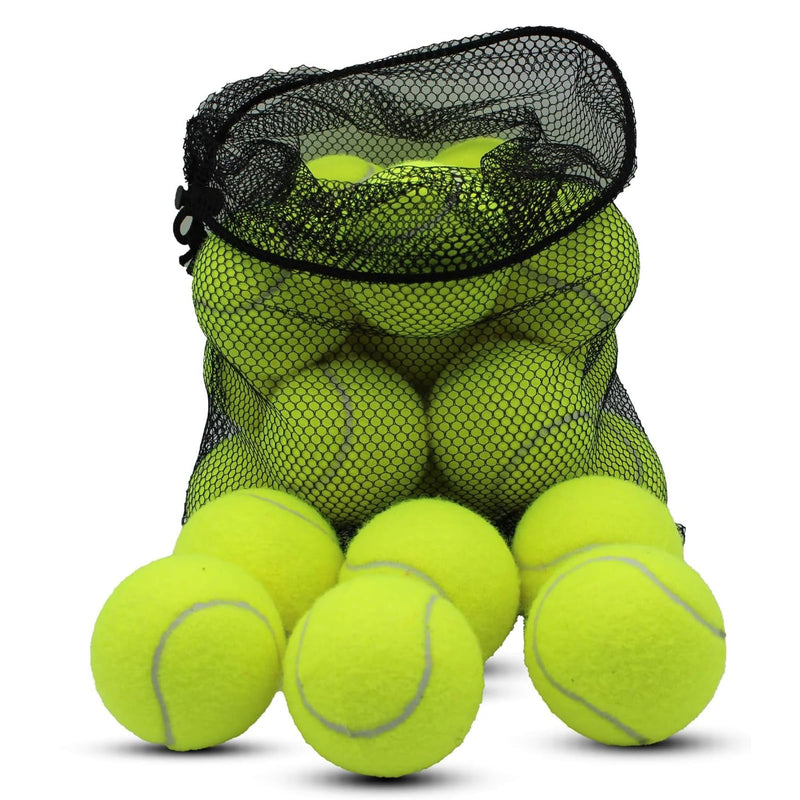 Dog Tennis Balls 20-Pack | Fluorescent Colors with Mesh Bag | Natural Rubber - Fun Stuff Gift Shop