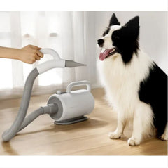 Pet Water Blower High-power Dog Hair Dryer Large Dog Dryer - Fun Stuff Gift Shop