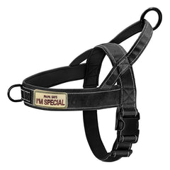 No Pull Dog Harness | Reflective, Escape-Proof & Adjustable | Medium & Large Dogs - Fun Stuff Gift Shop