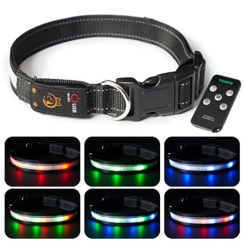 Light Up Dog Collar | Rechargeable LED Collar with Remote | Waterproof - Fun Stuff Gift Shop