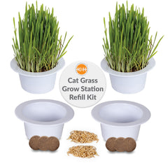 Cat Grass Grow Station Growing Cup Refills for K&H EZ Mount Products - Healthy Home Grown Grass Cat Toys for Bored Indoor Adult Cats Farmed in USA Non-GMO - Refill ONLY - 2 Pack - Fun Stuff Gift Shop