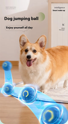 Interactive Cat Toy Ball | Auto-Bouncing USB Rechargeable Pet Toy