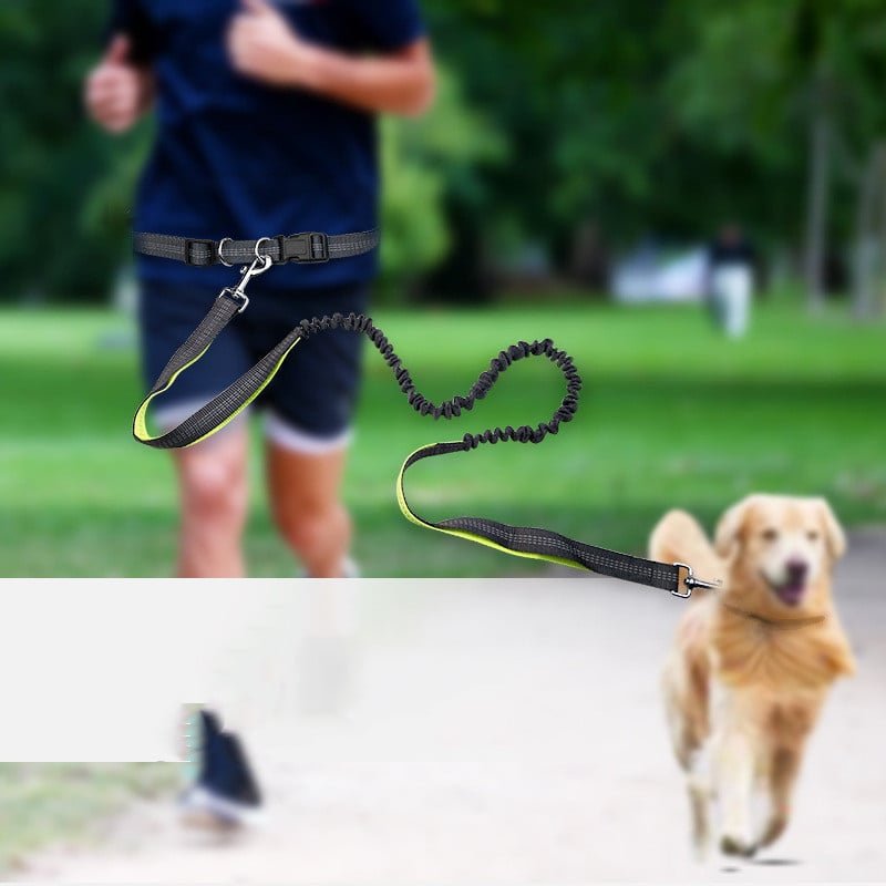 Dog Walking Belt with Detachable Shockproof Leash - Fun Stuff Gift Shop