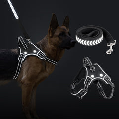 GlowBright LED Dog Harness with Leash Set — Rechargeable, Reflective & Adjustable