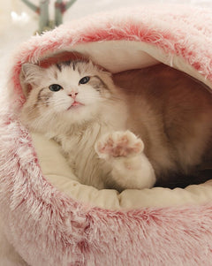 2- in1 Pet Bed - Fun Stuff Gift Shop