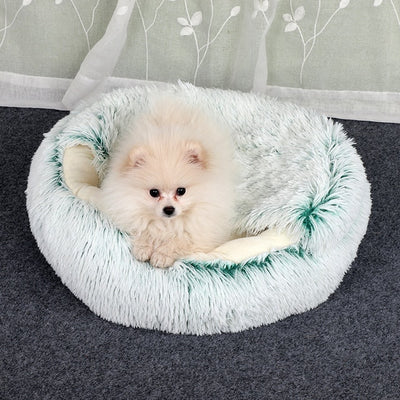 2- in1 Pet Bed