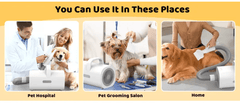 4-in-1 Negative Ion Pet Hair Dryer | High-Speed Dog & Cat Grooming Dryer - Fun Stuff Gift Shop