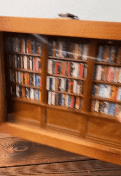Anxiety Bookshelf – Miniature Stress Relief Desk Toy | Shake Away Your Anxiety