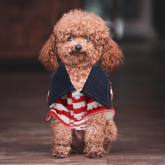 Bear & Stripes Denim Dog Dress | Size S