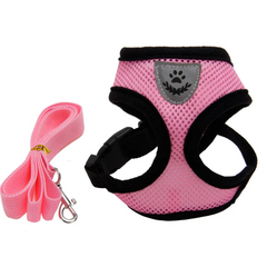 Premium Mesh Dog Harness — Breathable, Adjustable & No-Pull | S–XL