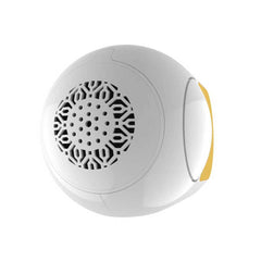Portable Bluetooth Mini Speaker with Subwoofer | 5W Wireless Speaker with FM Radio - Fun Stuff Gift Shop