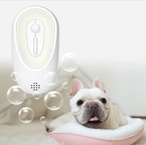 Pet Odor Eliminator for Litter Boxes | USB Deodorizer & Air Purifier for Cats & Dogs - Fun Stuff Gift Shop