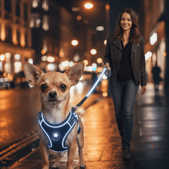 GlowBright LED Dog Harness with Leash Set — Rechargeable, Reflective & Adjustable - Fun Stuff Gift Shop