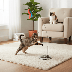 Cat Wand Toy with Suction Cup & Feather Bundle | Interactive Cat Fishing Pole - Fun Stuff Gift Shop