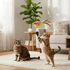 Cat Feather Wand Refills — 7 Pack with Flying Birds & Caterpillars - Fun Stuff Gift Shop