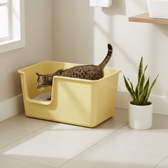 Extra Large High-Sided Cat Litter Box — XL Jumbo, No Assembly Required - Fun Stuff Gift Shop