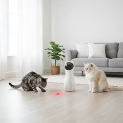 Automatic Interactive Laser Cat Toy — 2 Modes with Auto Timer - Fun Stuff Gift Shop