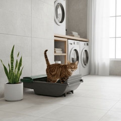 Self-Cleaning Litter Box Bundle — Smart Sensor + 4-Month Bag Supply - Fun Stuff Gift Shop